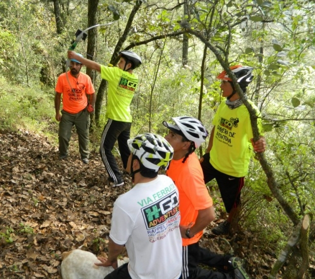 Tiro con arco en grupo